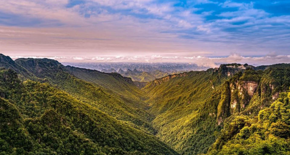 绿城, 散步, 融的画卷